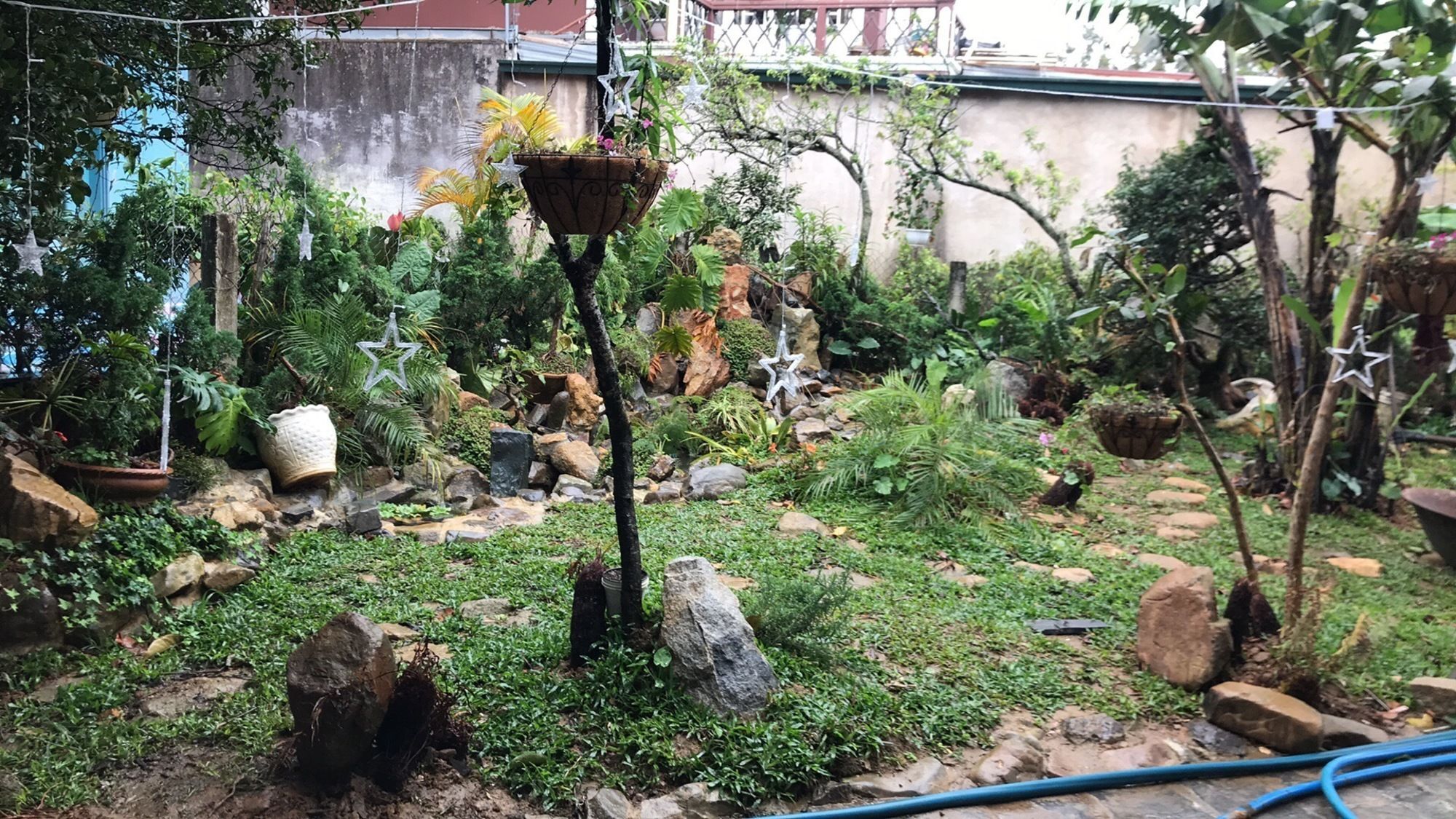 De Daisy Villa Homestay Da Lat Exterior foto